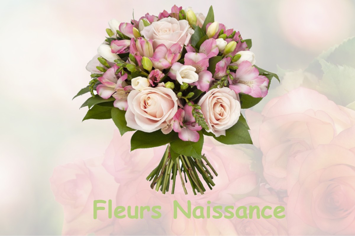 fleurs naissance HUSSEREN-LES-CHATEAUX
